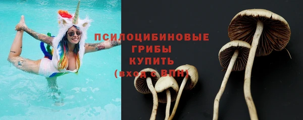 прущие крисы Снежногорск