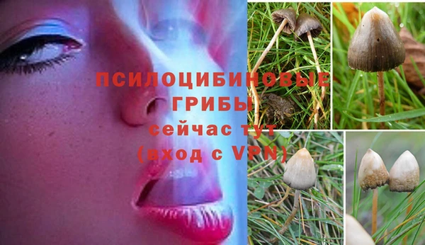 Альфа ПВП Снежинск