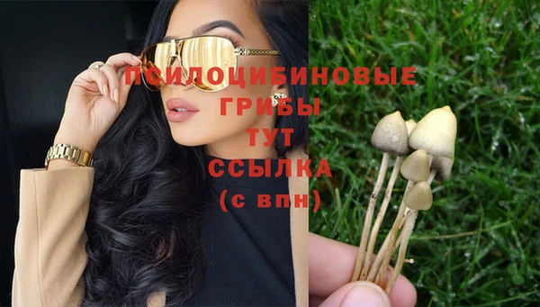 прущие крисы Снежногорск