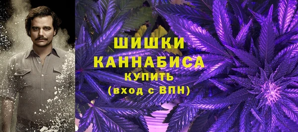 Альфа ПВП Снежинск