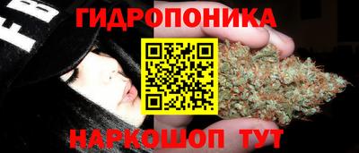 PSILOCYBIN Гусь-Хрустальный