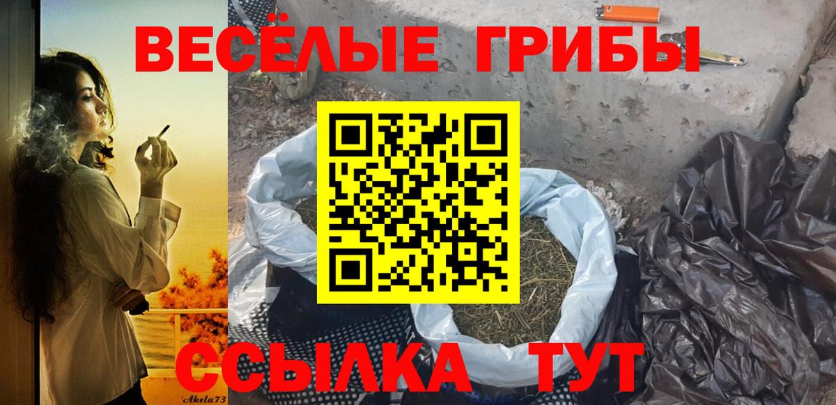 Дюртюли  Псилоцибиновые грибы GOLDEN TEACHER  Вход с VPN 