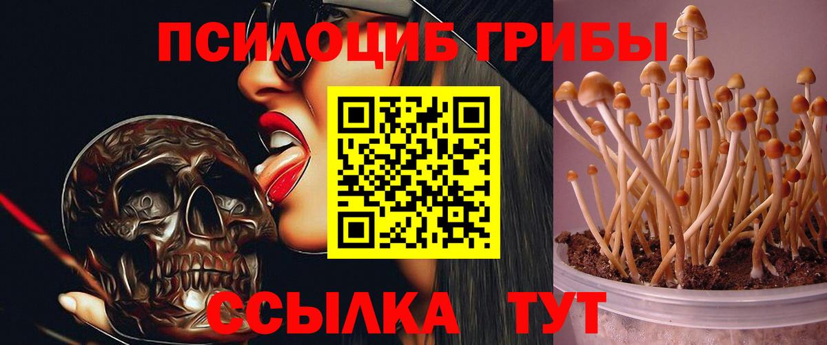 Галлюциногенные грибы мухоморы Дюртюли